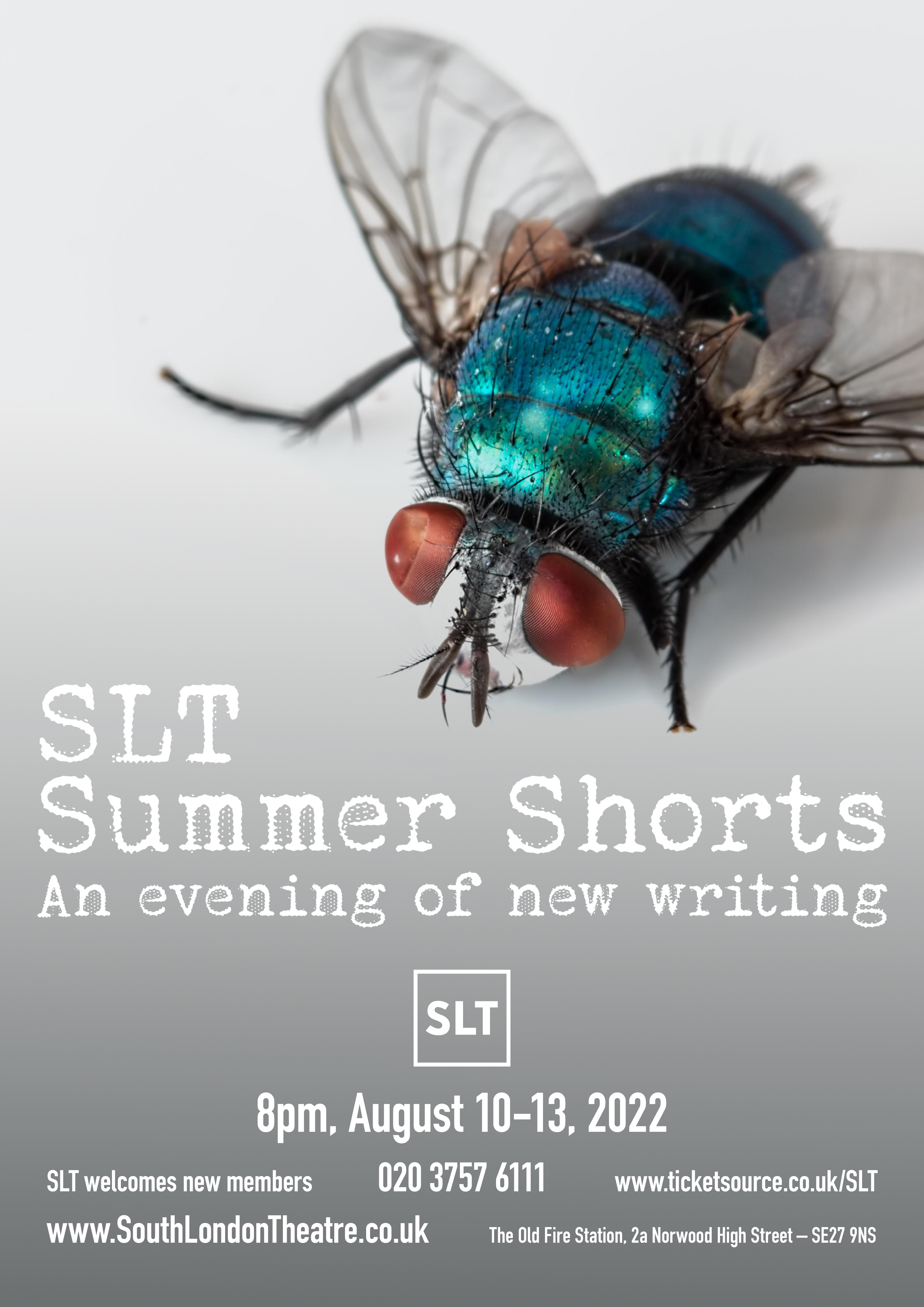 Official SLT Summer Shorts Poster image