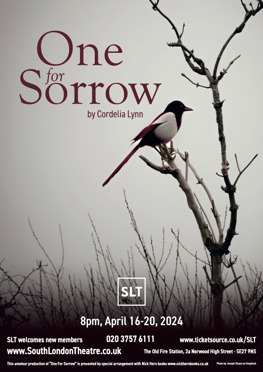 One for Sorrow poster