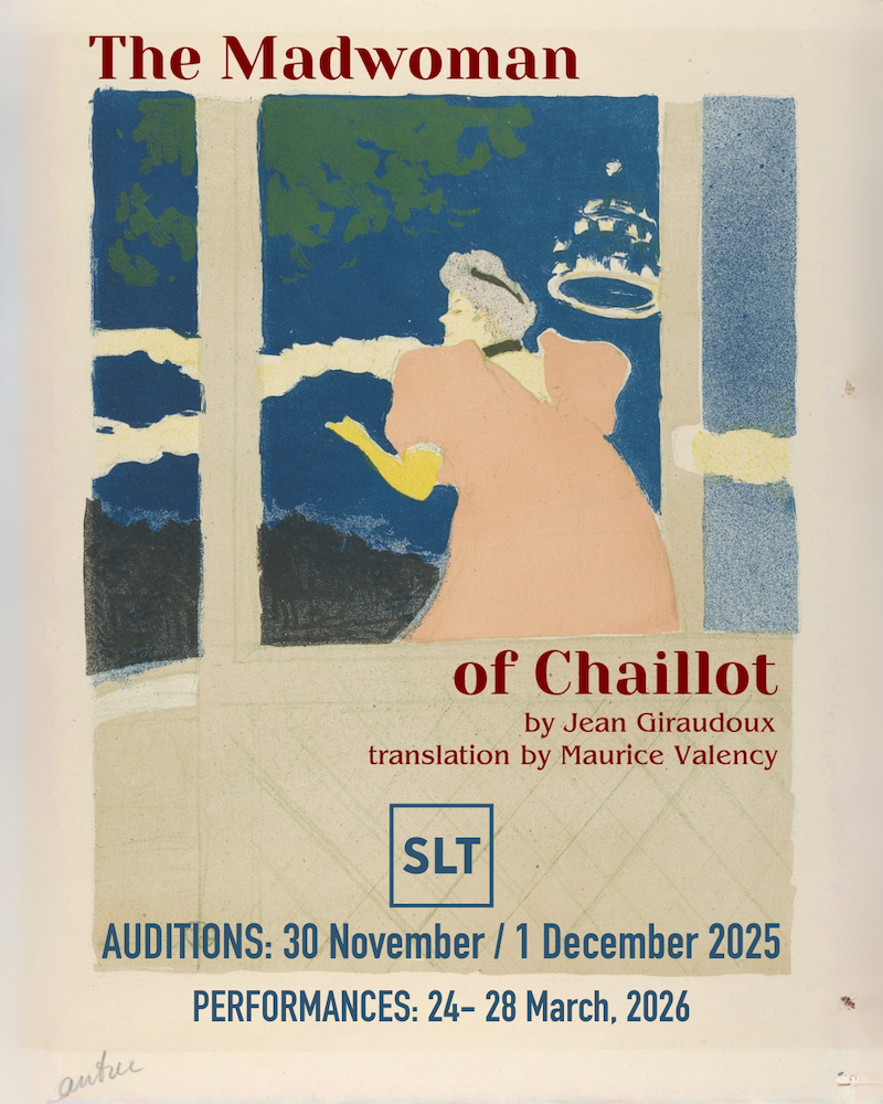 Painting style poster image of a woman in a full gown near a window.